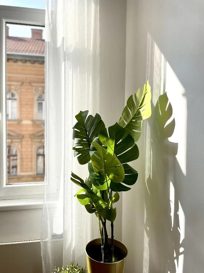 Eotvos 25 Apartment Budapest